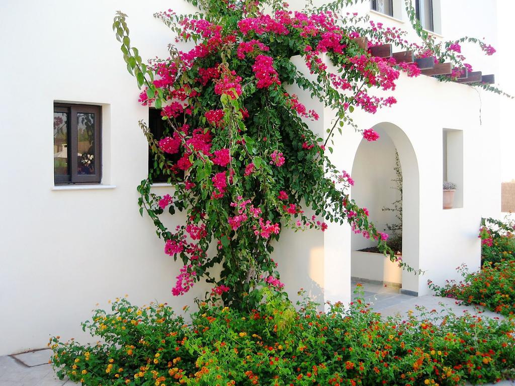 Aura Holiday Villas Paphos Buitenkant foto